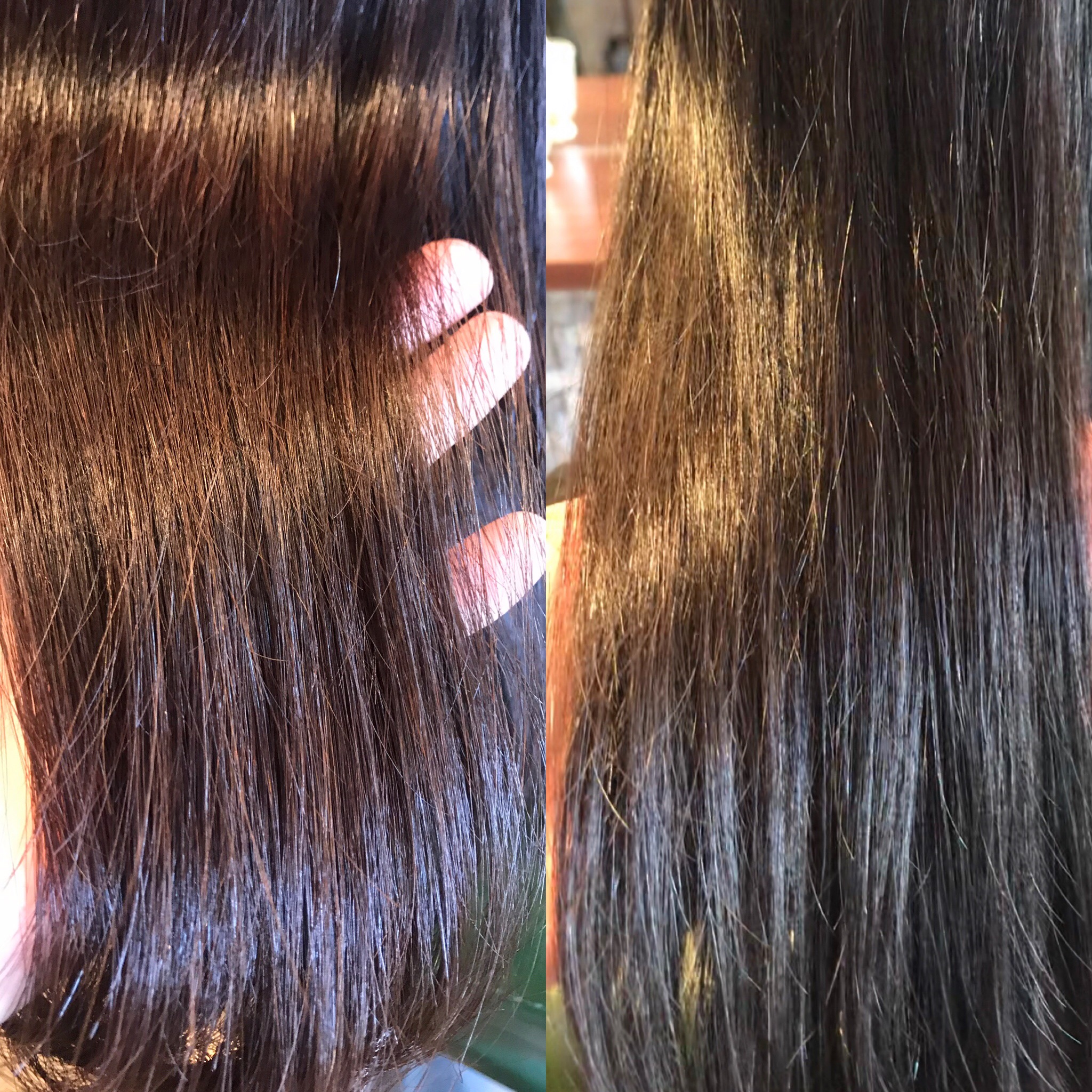 就活へ向けて黒髪ヘアカラー 黒髪の持つ 上品 真面目 自然 保守的 なイメージもうまく使って行きましょう Shota Sato Net 就活へ向けて黒髪ヘアカラー 黒髪の持つ 上品 真面目 自然 保守的 なイメージもうまく使って行きましょう Shota Sato Net